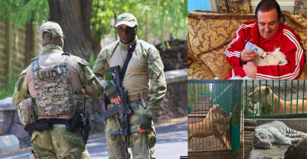 BREAKING: Gagik Tsarukyan Detained as Authorities Seize Vehicles, Three ...
